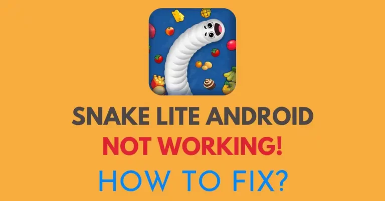 snake lite app not working solutions