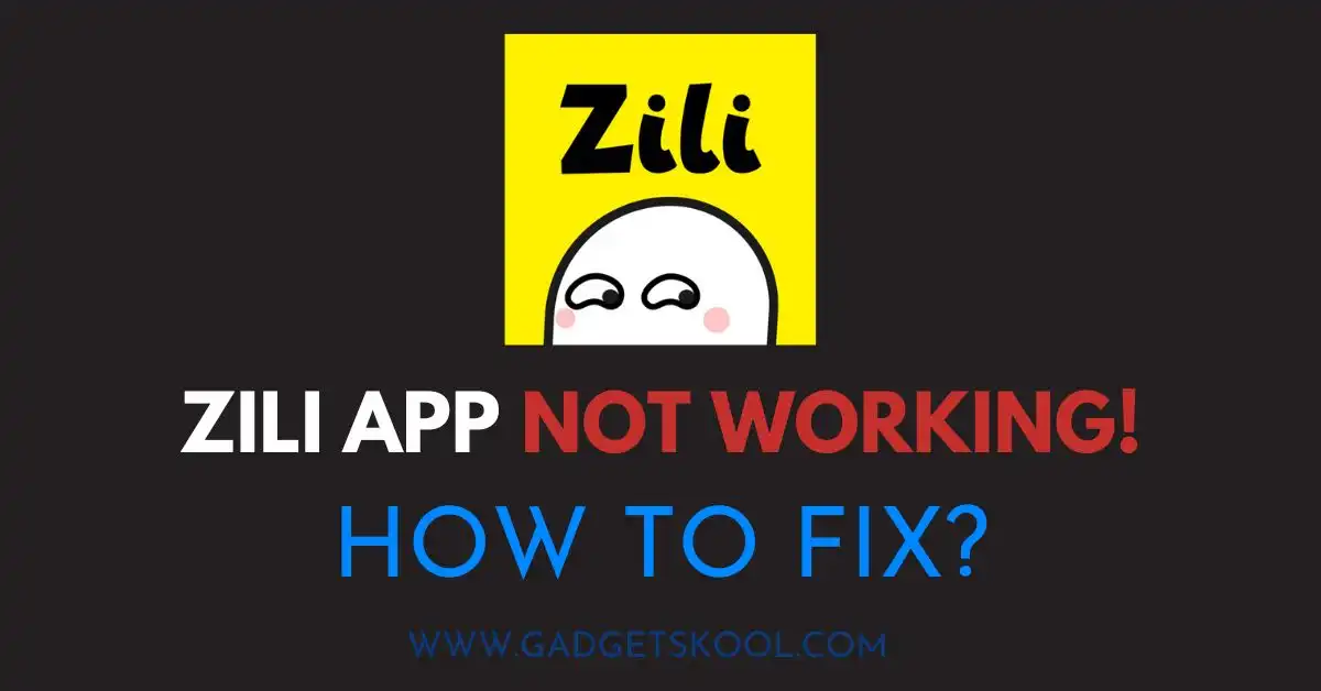 zili app not working solutions